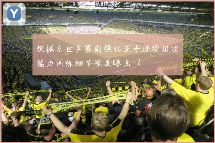 樊振东世乒赛前强化正手连续进攻能力训练细节深度曝光